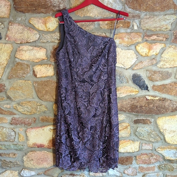 Adrianna papell Elegant gray Lace One-Shoulder Dress